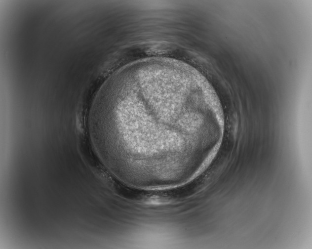 X0000088860755200707061050