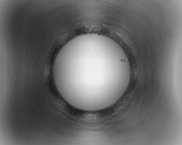 X0000088860756200707061050