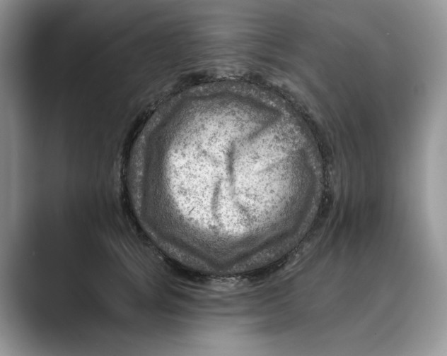 X0000088860757200707061051