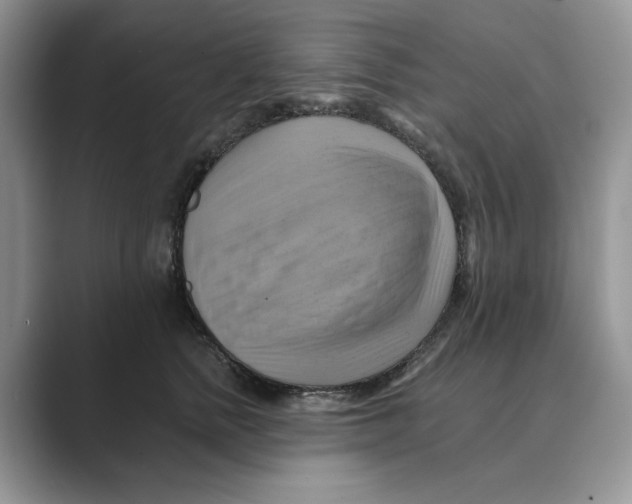 X0000088860758200707061051