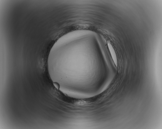 X0000088860759200707061051