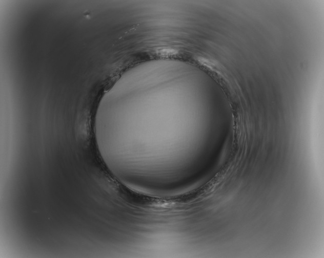 X0000088860760200707061051