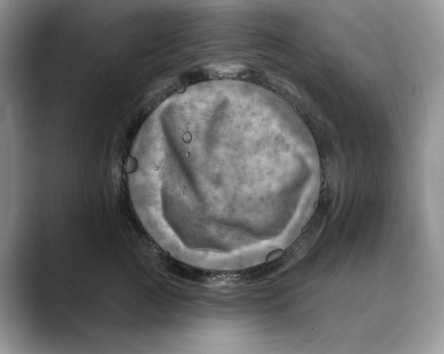 X0000088860761200707061051