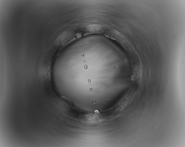 X0000088860762200707061051