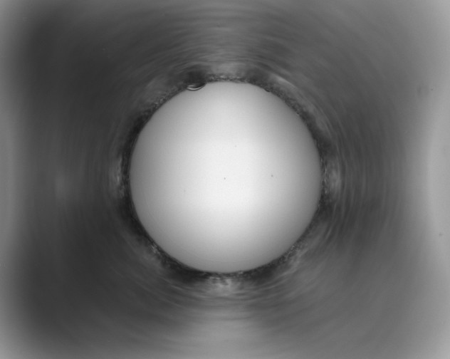 X0000088860764200707061051