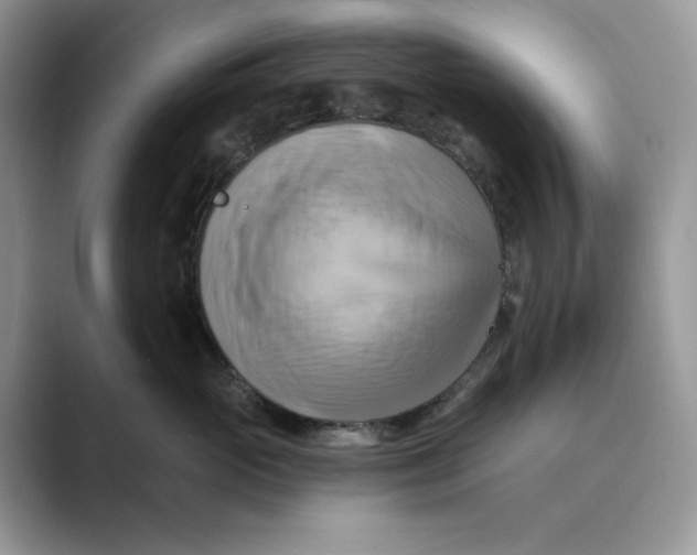 X0000088860765200707061051