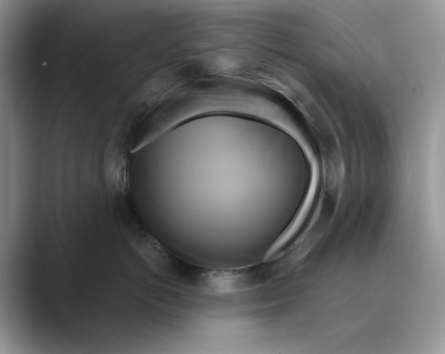 X0000088860766200707061051