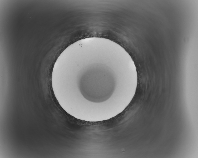 X0000088860769200707061050