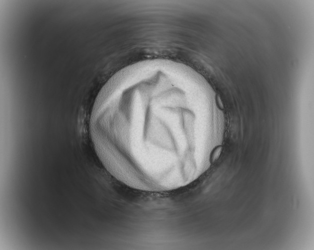 X0000088860770200707061050