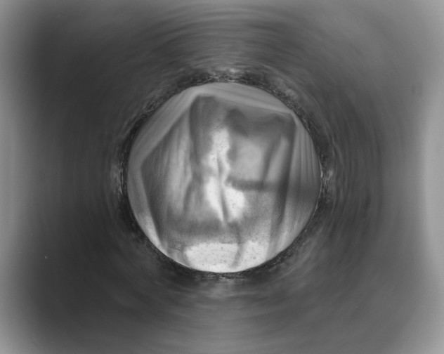 X0000088860772200707061050