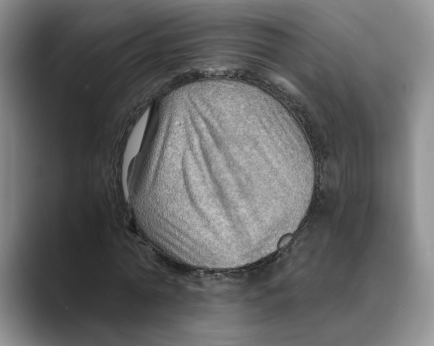 X0000088860774200707061050