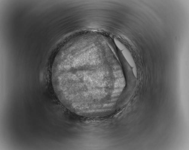 X0000088860776200707061050