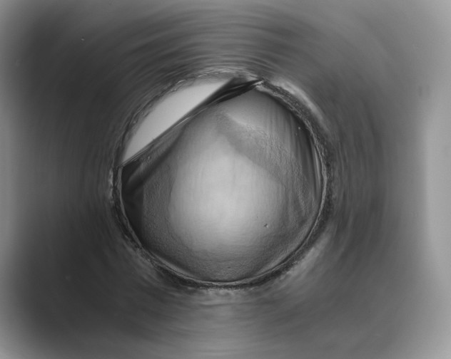 X0000088860777200707061050