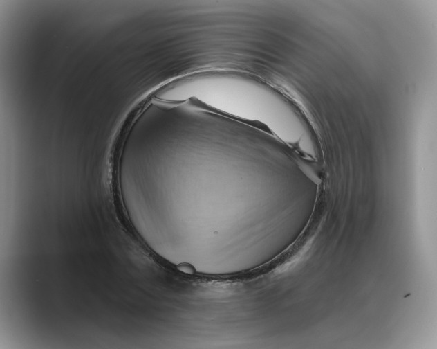 X0000088860779200707061050