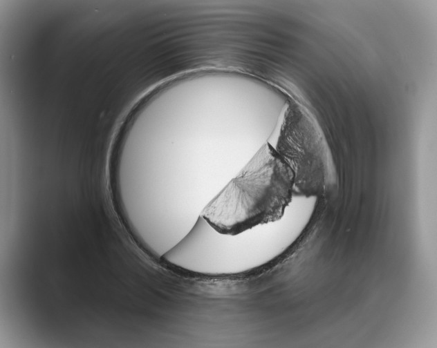 X0000088860780200707061050