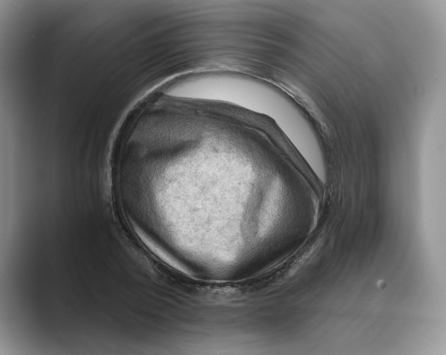 X0000088860784200707061050