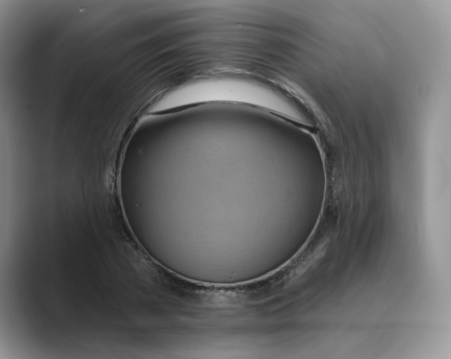 X0000088860785200707061050