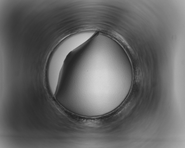 X0000088860786200707061050