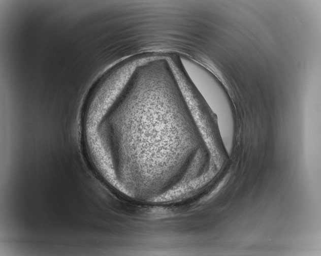 X0000088860787200707061050