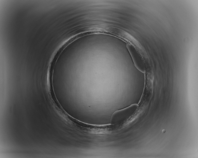 X0000088860788200707061050