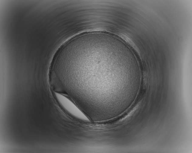 X0000088860789200707061050