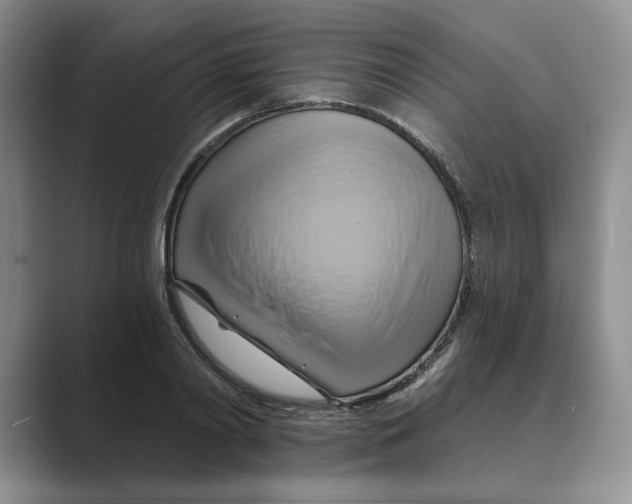 X0000088860790200707061050