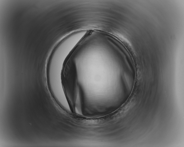 X0000088860792200707061050