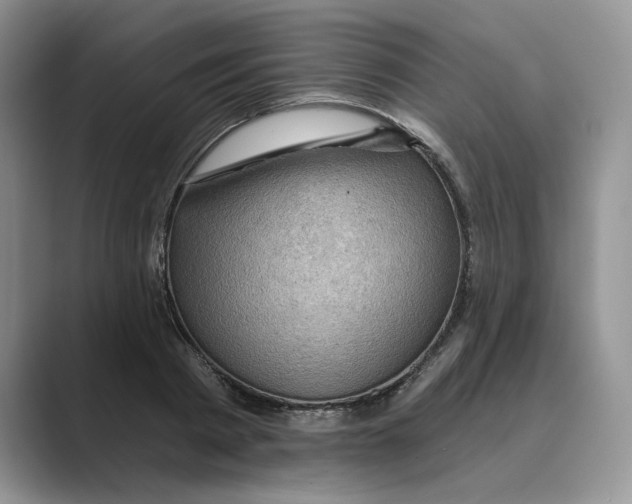 X0000088860793200707061050