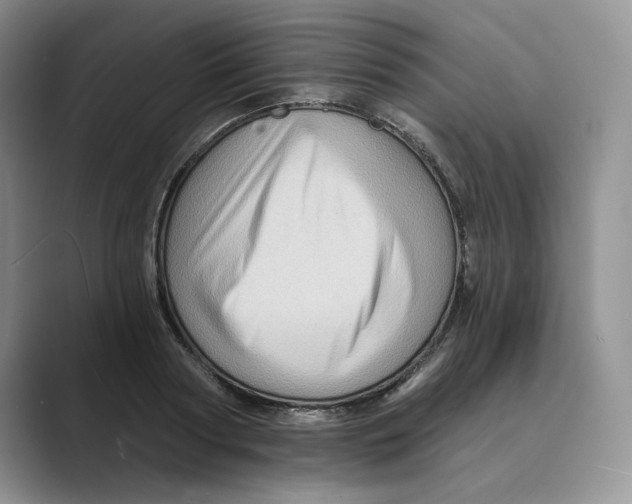 X0000088860794200707061050