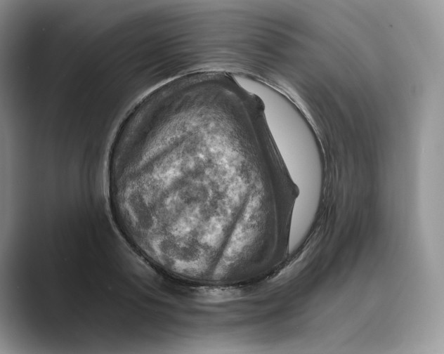 X0000088860795200707061050