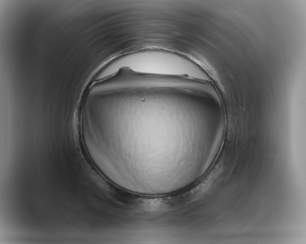 X0000088860798200707061050