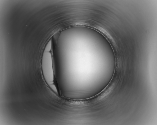 X0000088860801200707061050