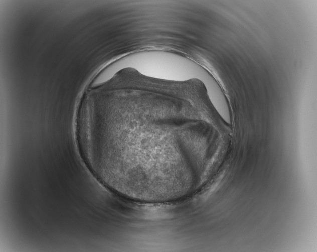 X0000088860803200707061050