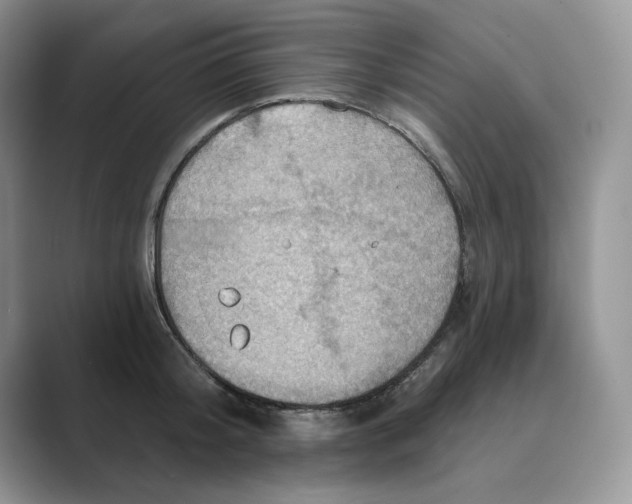 X0000088860804200707061050