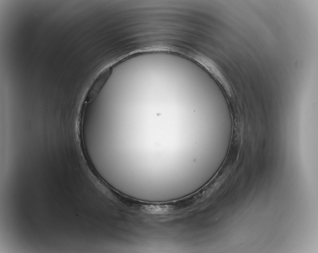 X0000088860805200707061050