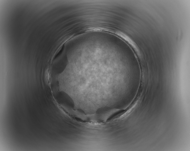 X0000088860809200707061050