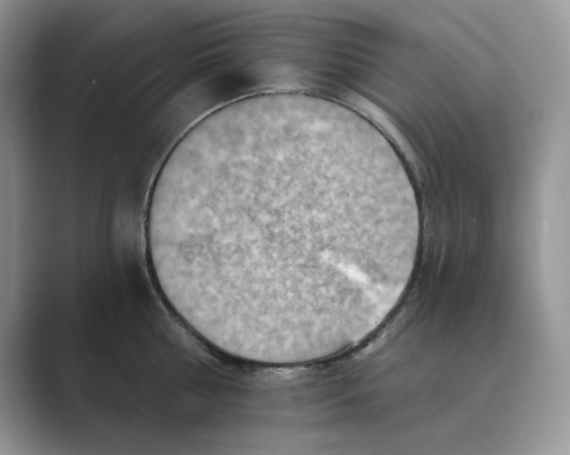 X0000088860810200707061050