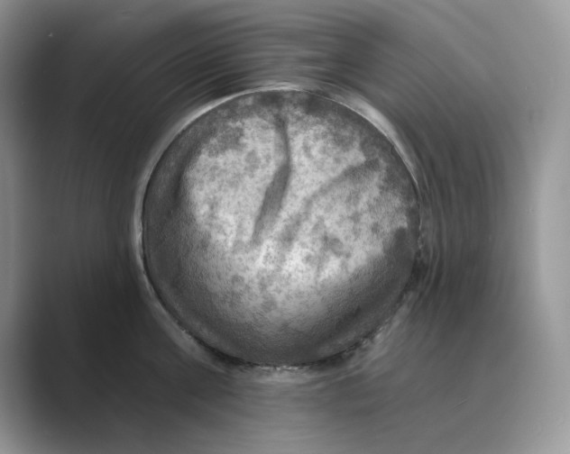 X0000088860811200707061050