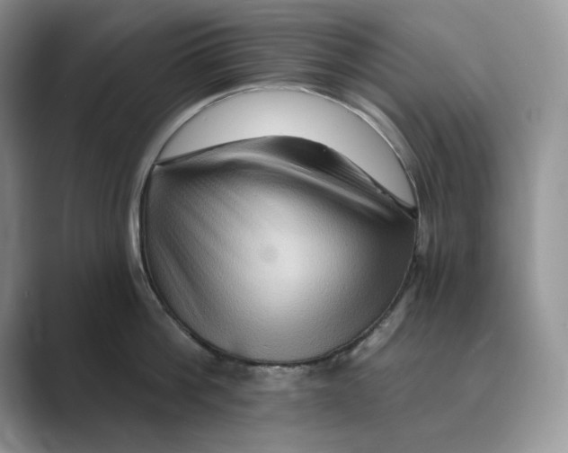 X0000088860812200707061050