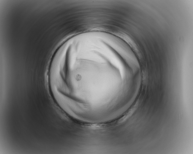 X0000088860814200707061050