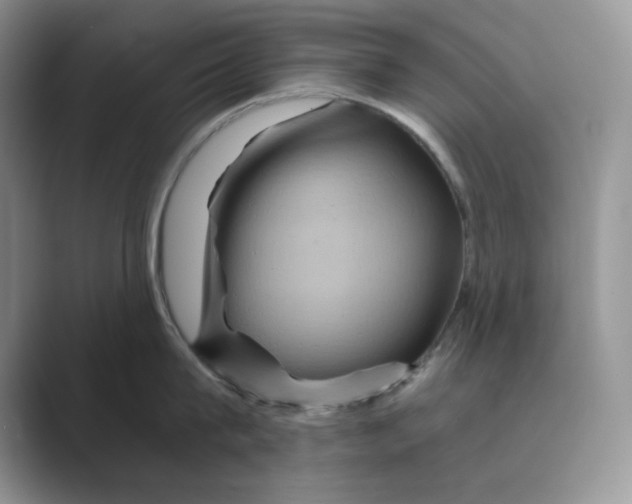 X0000088860815200707061050