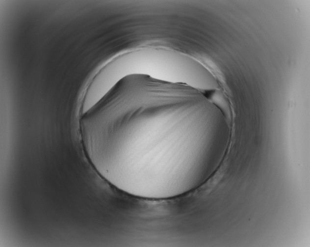 X0000088860816200707061050