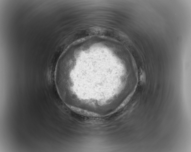 X0000088860819200707061049