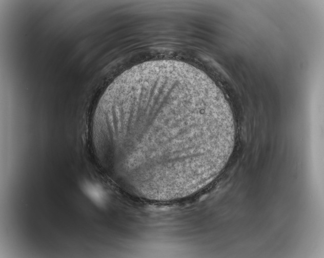 X0000088860821200707061049