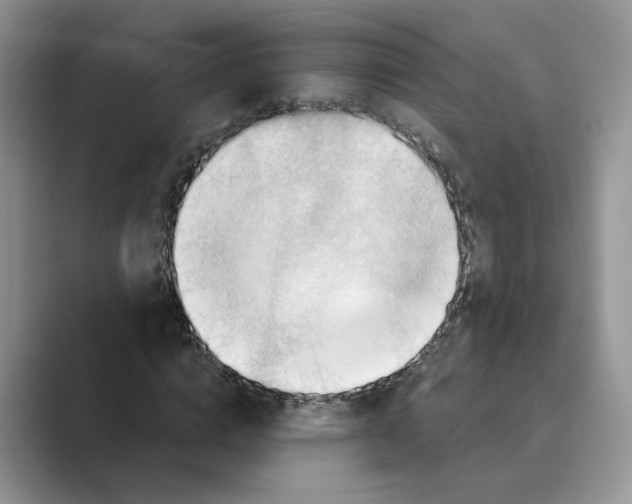 X0000088860824200707061049