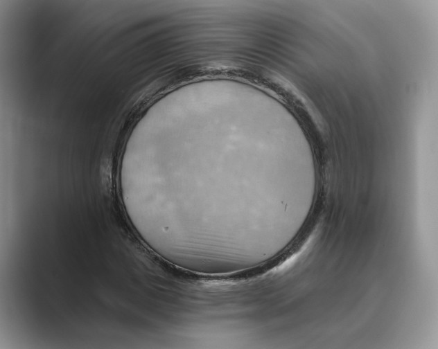 X0000088860825200707061049