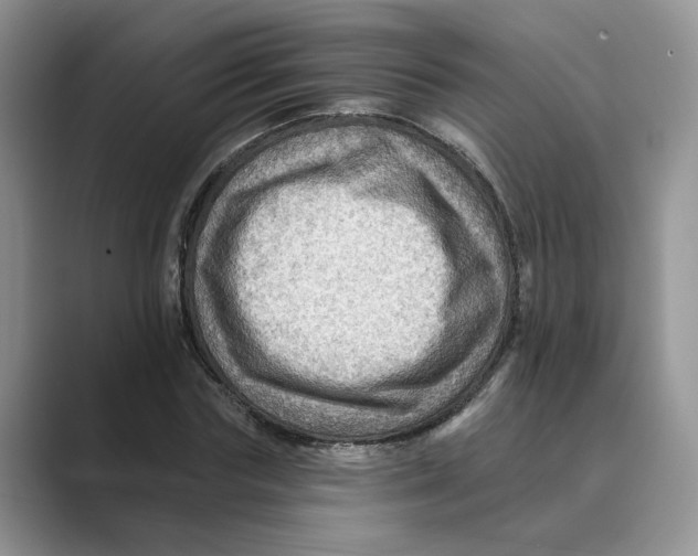 X0000088860827200707061049