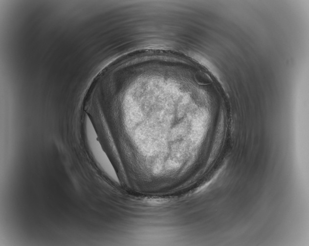 X0000088860829200707061049