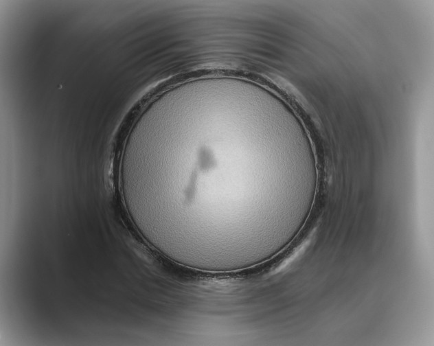 X0000088860830200707061049