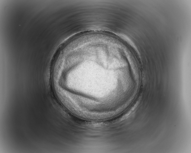 X0000088860831200707061049